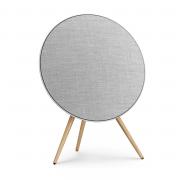 Bang & Olufsen Beosound A9 5th Generation Natural Aluminium
