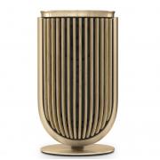 Bang & Olufsen Beolab 8 Gold Tone / Oak