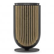 Bang & Olufsen Beolab 8 Black Anthracite / Oak