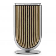 Bang & Olufsen Beolab 8 Silver / Oak